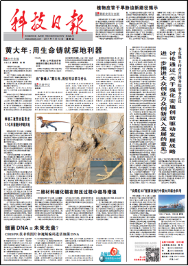 �������ǲ���(�й���)�ٷ���վ